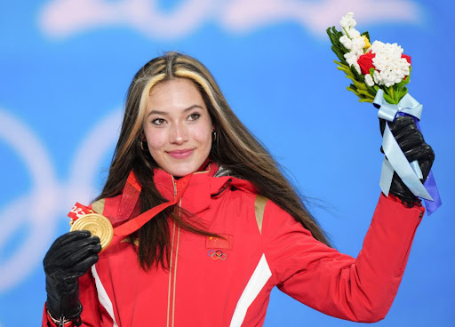 <strong>了解塑胶跑道彩色颗粒材质的选择范围</strong>